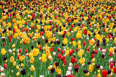 战神关卡设计师加入新3A工作室That's No Moon