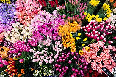 《CS2》首个国际锦标赛IEM悉尼2023正在澳大利亚举行